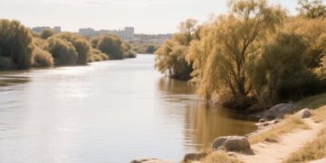 В Армавире днем 20 мая объявили эвакуацию из-за угрозы подтопления
