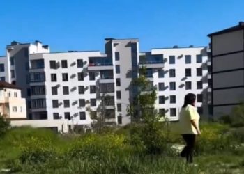 В Новороссийске сотрудница ДК обматерила девушку с собакой