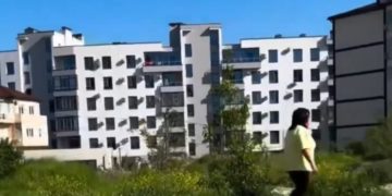 В Новороссийске сотрудница ДК обматерила девушку с собакой