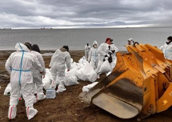 Почти 15,3 тыс. кубов мазута и зараженного грунта вывезли с побережья Туапсе