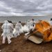 Почти 15,3 тыс. кубов мазута и зараженного грунта вывезли с побережья Туапсе