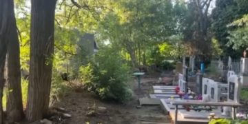 На Кубани 56-летняя женщина торговала наркотиками возле кладбища