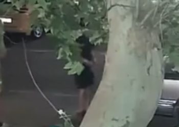 В Краснодаре двое мужчин повредили несколько автомобилей
