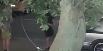 В Краснодаре двое мужчин повредили несколько автомобилей