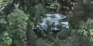 Во дворах в Краснодаре рухнули деревья