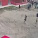Полиция проводит проверка по факту избиения 14-летней девочки в Краснодаре