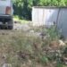 Краснодарцы жалуются на обилие крыс