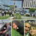Хроника нападения на West Mall в Краснодаре: что известно к этому часу
