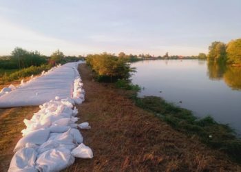Более 750 человек поднимают уровень дамб в двух районах Кубани