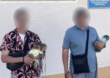 В Геленджике поймали двух пляжных фотографов с обезьянками