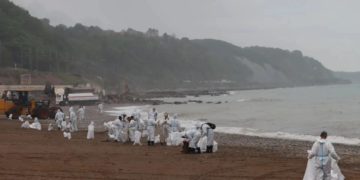 Оперштаб сообщил о полной очистке берега в Темрюкском районе
