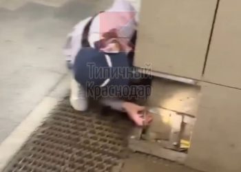 В Краснодаре котенок на три дня застрял в стене подземного перехода