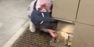 В Краснодаре котенок на три дня застрял в стене подземного перехода