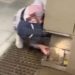 В Краснодаре котенок на три дня застрял в стене подземного перехода
