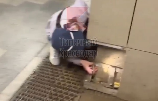 В Краснодаре котенок на три дня застрял в стене подземного перехода