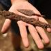В Адыгее при раскопках кургана найдено уникальное каменное святилище