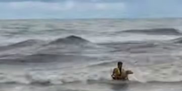 В Сочи спасатель вытащил из моря тонущую собаку