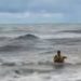 В Сочи спасатель вытащил из моря тонущую собаку