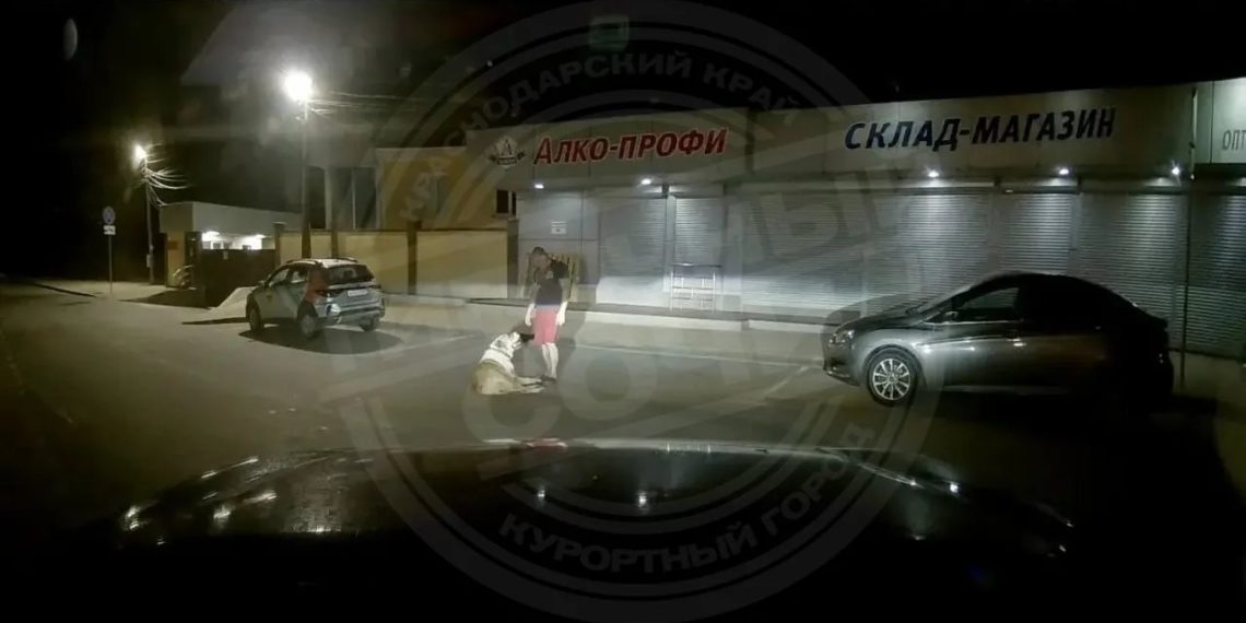 В Сочи алабай на самовыгуле растерзал таксу