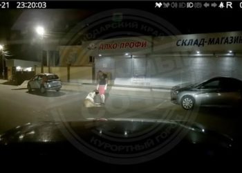 В Сочи алабай на самовыгуле растерзал таксу