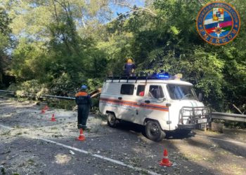 В Сочи водитель пострадал в результате падения дерева на автомобиль