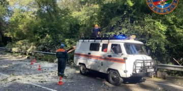 В Сочи водитель пострадал в результате падения дерева на автомобиль