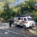 В Сочи водитель пострадал в результате падения дерева на автомобиль