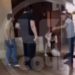 В Сочи человек с пистолетом стал участником массовой драки