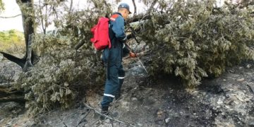 На Кубани потушили пожар в заповеднике Утриш