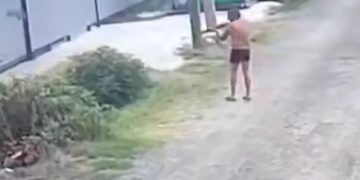 Жестокий снайпер из Елизаветинской: камеры зафиксировали убийцу котов