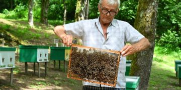 В Сочи растет популярность агротуризма на фоне рекордного сбора меда