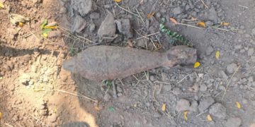 На винограднике в Краснодарском крае нашли мину