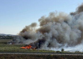 Более 70 человек тушат пожар на плавнях в Анапе