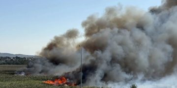 Более 70 человек тушат пожар на плавнях в Анапе