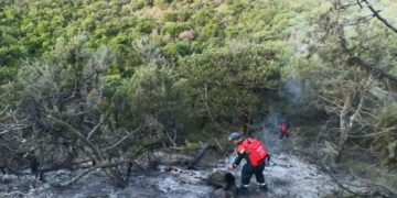 Пожар в заповеднике Утриш на Кубани локализовали на площади 0,3 гектара
