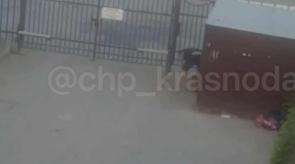Краснодарцы пожаловались на соседа, избивающего собаку