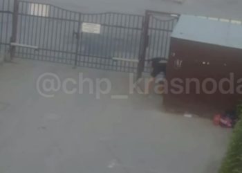 Краснодарцы пожаловались на соседа, избивающего собаку