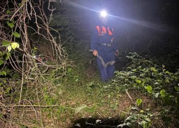 В Сочи спасли заблудившуюся в лесу супружескую пару из Новосибирска