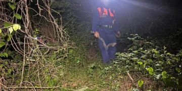 В Сочи спасли заблудившуюся в лесу супружескую пару из Новосибирска