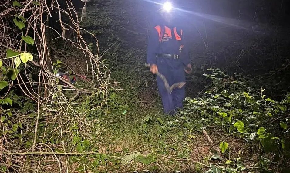 В Сочи спасли заблудившуюся в лесу супружескую пару из Новосибирска