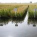 На Кубани планируют собрать около 850 тысяч тонн риса в 2026 году