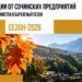 Сочи встречает бархатный сезон: новые скидки и устойчивый турпоток