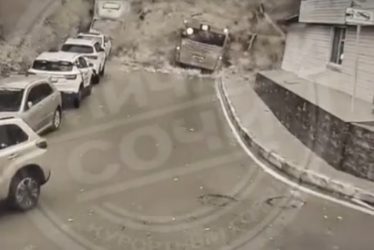 В Сочи дерево упало на автобус