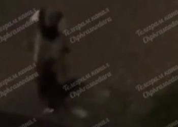 В Краснодаре мужчина жестоко избил женщину и попал на видео