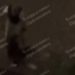 В Краснодаре мужчина жестоко избил женщину и попал на видео