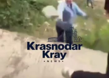В Краснодаре женщина швырнула в девочку кирпич