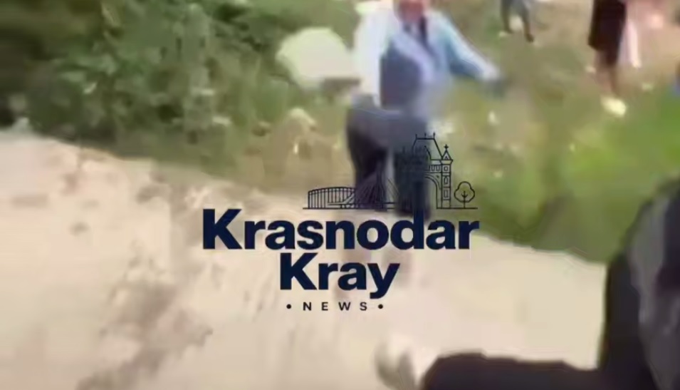 В Краснодаре женщина швырнула в девочку кирпич