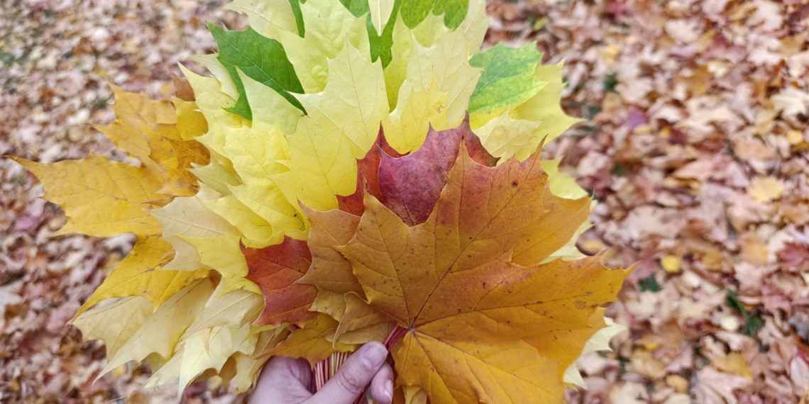 Прогноз погоды на воскресенье 27 сентября на Кубани
