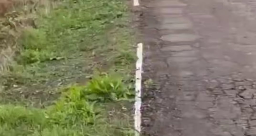 На Кубани начали стирать нанесенную на траву разметку