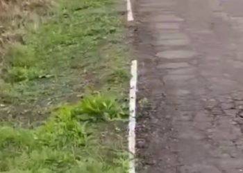 На Кубани начали стирать нанесенную на траву разметку